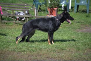 Bavaria Maya-Mici Bavaria Maya-Mici