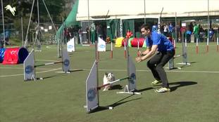 Bibidibobidibloe LOI 12/44872 (Arnaud) Bibidibobidibloe LOI 12/44872 (Arnaud)