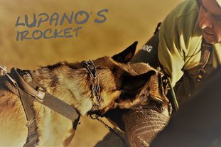 Lupano's IRocket Lupano's IRocket