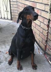 Frida von Zeus Tal Frida von Zeus Tal