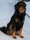 Panja von der Asseburg