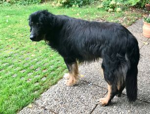 Cleopatra Wächter der Zukunft Cleopatra Wächter der Zukunft