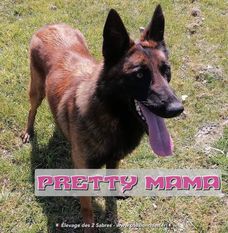 Pretty Mama des deux Sabres Pretty Mama des deux Sabres