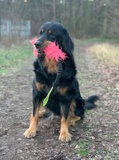 Carla vom Schondratal Carla vom Schondratal