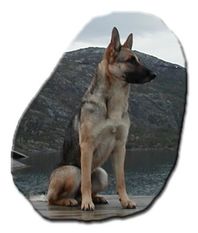 Karga Landets Diva Karga Landets Diva