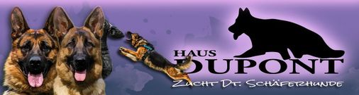 vom Haus Dupont