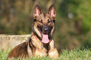 Neytiri (SZ-R 20000145) Neytiri (SZ-R 20000145)