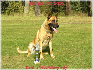 Kent z Hückelovy Vily Kent z Hückelovy Vily