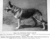 Claus vom Schlesiereck