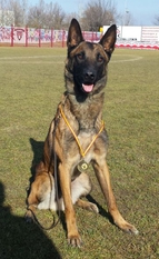 Thor LOE RRC 120743 (Pérez) Thor LOE RRC 120743 (Pérez)