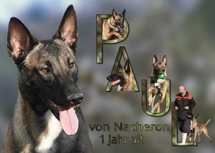 Paul von Nacheron Paul von Nacheron