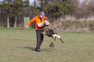 Olga DK 18516/2015 (Jensen) Olga DK 18516/2015 (Jensen)