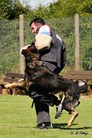 Gorden vom Cap Arkona