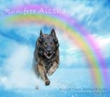 Aischa Canil Dharma Kokx