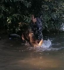 Akira von der Lobdeburg Akira von der Lobdeburg