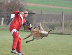 Xtreme vom Further Moor Xtreme vom Further Moor