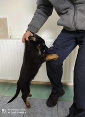 Nord von Sico Schwarz Haus Nord von Sico Schwarz Haus