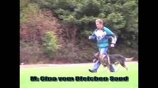Simba vom Bleichen Sand Simba vom Bleichen Sand