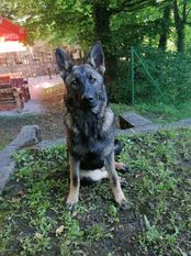 Kira von Sico Schwarz Haus Kira von Sico Schwarz Haus