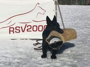 Isak dei Sovrani di Pianezza
