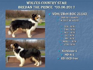 Wolves Country Star Brendan the Prince Wolves Country Star Brendan the Prince