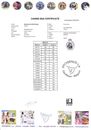 DNA-Zertifikat.pdf