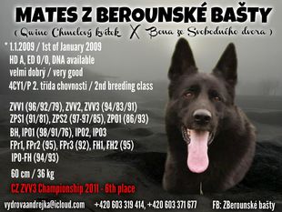 Mates z Berounske basty Mates z Berounske basty