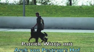 Arek von Pestrup's Hof Arek von Pestrup's Hof