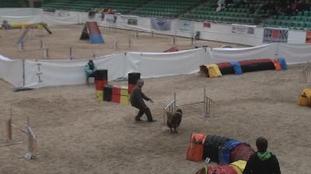 Yuma von der Roethe Yuma von der Roethe