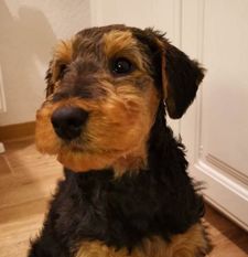 Rosie von Erikson Rosie von Erikson
