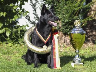 Buster von der Lobdeburg Buster von der Lobdeburg