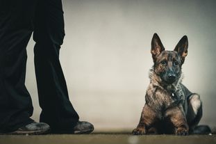 Clara von den Teufelsweibern Clara von den Teufelsweibern