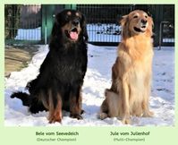 Hochzeit mit Jule am 01.02.2021
www.gueltsteiner-tor.net