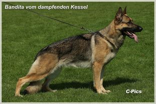 Bandita vom dampfenden Kessel Bandita vom dampfenden Kessel