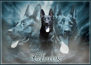 Chuck von der Lichthecke Chuck von der Lichthecke