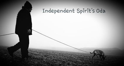 Independent Spirit's Oda Independent Spirit's Oda