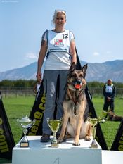 Ajax vom Haus Denfors K9 Ajax vom Haus Denfors K9