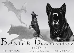 Baxter Drachenjäger Baxter Drachenjäger
