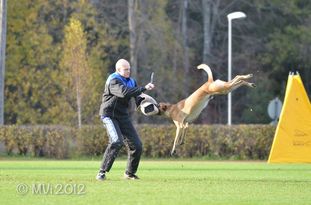Kutinan Nikola Kutinan Nikola