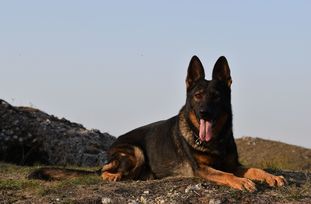 Kami od Policie České republiky Kami od Policie České republiky