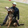 Alireza Khalkhali