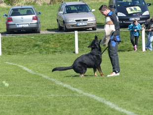 Macho vom Wegborn Macho vom Wegborn