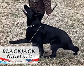 Blackjack Nirreterrit Blackjack Nirreterrit