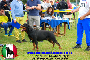 Quinkas delle Abbadesse Quinkas delle Abbadesse