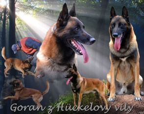 Goran z Hückelovy vily Goran z Hückelovy vily
