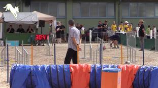 Goldjump Aus. Simply the Best Goldjump Aus. Simply the Best