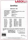 DNA Google.pdf
