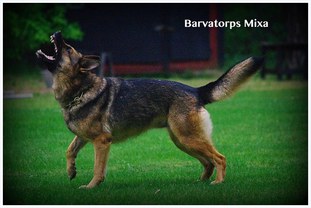 Barvatorps Mixa Barvatorps Mixa