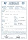 Moses181106Gebrauchshundezertifikat.pdf