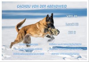 Cachou von der Abendweid Cachou von der Abendweid